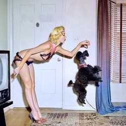 Burlesque-dancer-Misty-Ayers-1950s-1