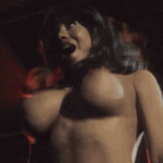 KITTEN-NATIVIDAD
