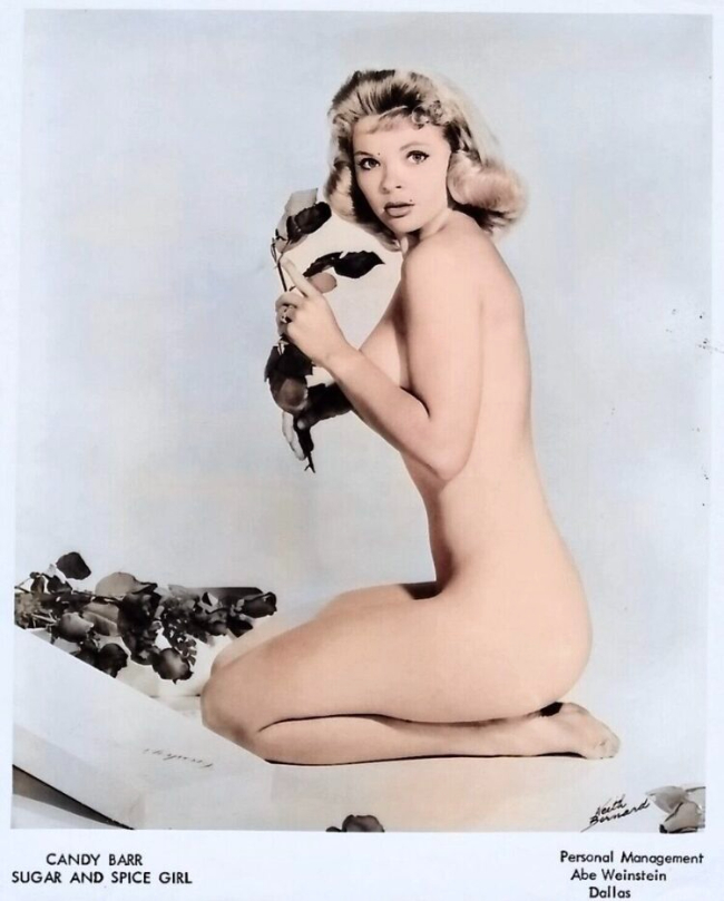 Candy Barr is nude in promo photo