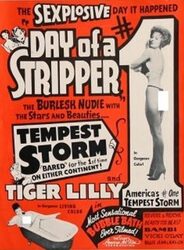 Day-of-a-Stripper