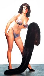 cindy-sequoia