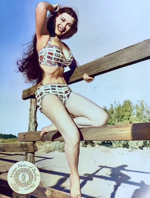 Sherry Britton modelling a license plate print bikini, 1955