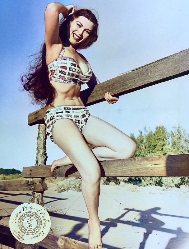 Sherry Britton modelling a license plate print bikini, 1955