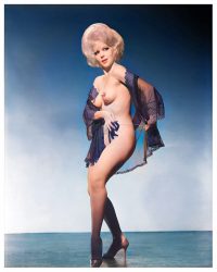 Burlesque-promo-shot