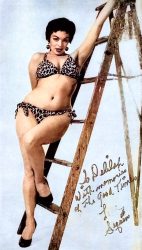 Stripper-promo-card