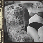 Hollywood Cutie relaxing on a couch