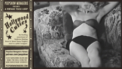 Hollywood Cutie relaxing on a couch