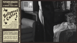 Hollywood Cutie trying to get it together